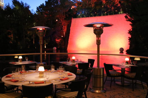 IR Energy™ EvenGLO® GA201M2 — Stainless Steel Portable Propane Patio Heater [46,000 BTU]
