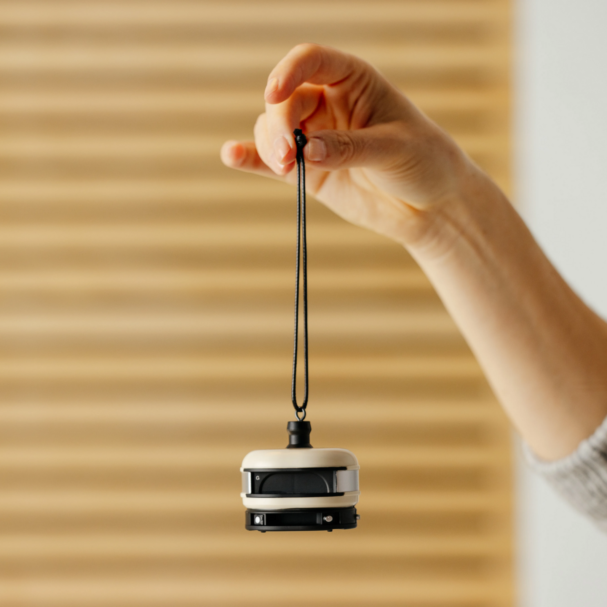 GOZNEY° Special Edition Dome Ornament