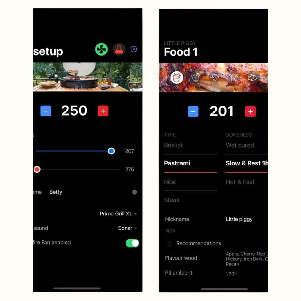 Primo® Grill Controller (PGPLUS)